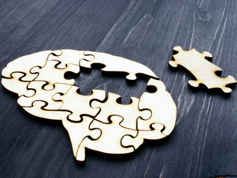 Brain from wooden puzzles. Mental Health and problems with memory and dementia.