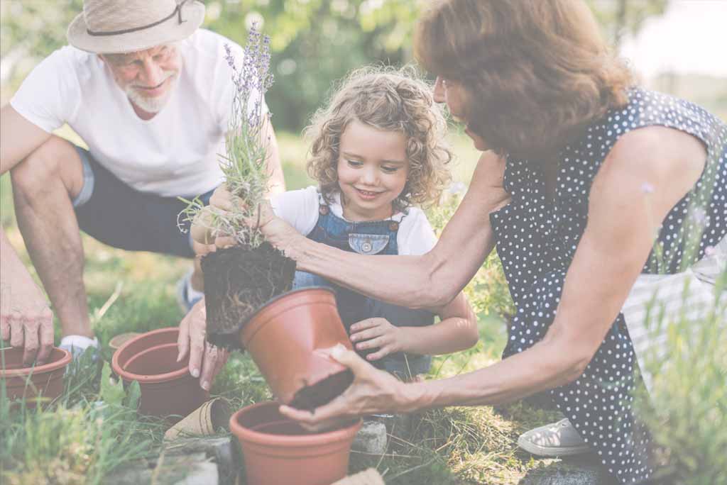 Family potting plants together.